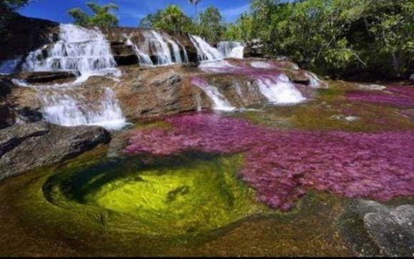 sông cầu vòng, chuyện lạ, sông Rainbow