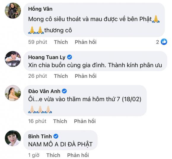 nghệ sĩ Thiên Kim, sao Việt