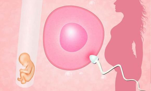 trẻ IVF, trẻ sơ sinh thụ tinh trong ống nghiệm, trẻ sinh bằng IVF, trẻ IVF có tuổi thọ ngắn