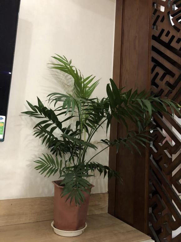 BTV Hữu Bằng, nhà Hữu Bằng, nhà sao 