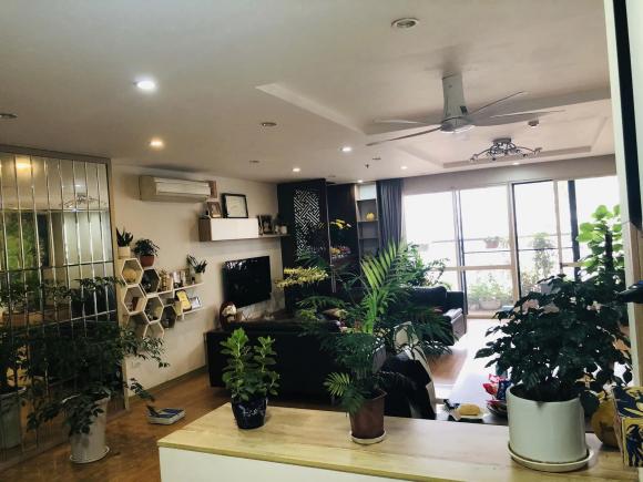 BTV Hữu Bằng, nhà Hữu Bằng, nhà sao 