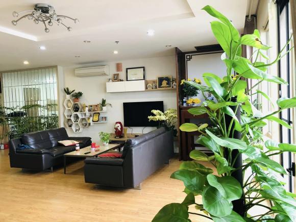 BTV Hữu Bằng, nhà Hữu Bằng, nhà sao 