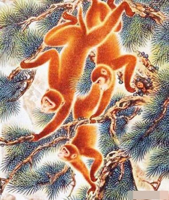 tử vi, con giáp, tử vi ngày 25.2