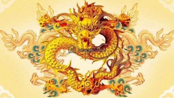 Tử vi, xem tử vi, Tử Vi Hàng Ngày, 12 Con Giáp, con giáp