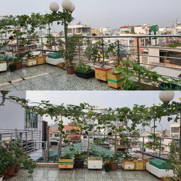 ca sĩ Cẩm Ly, sao Việt