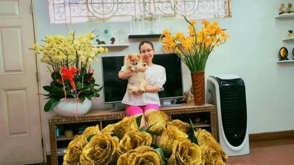 ca sĩ Cẩm Ly, sao Việt