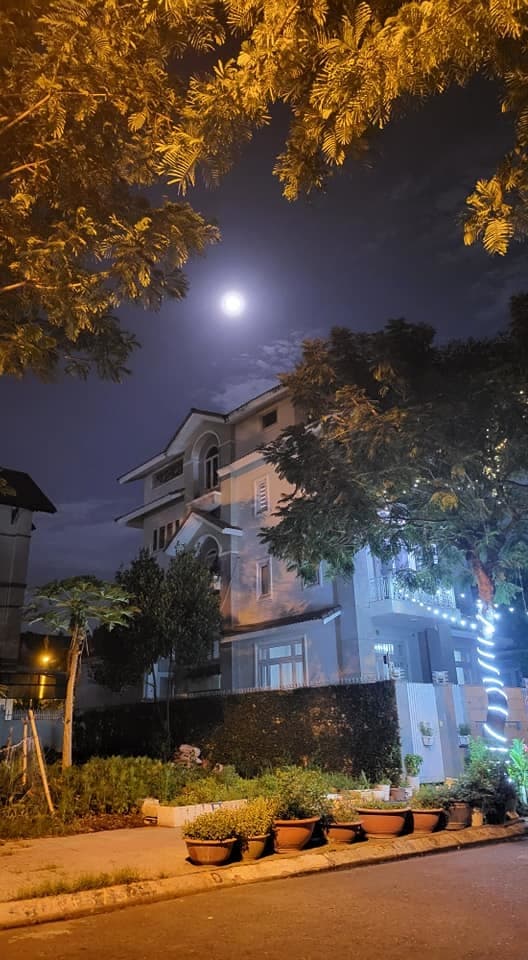 ca sĩ Cẩm Ly, sao Việt