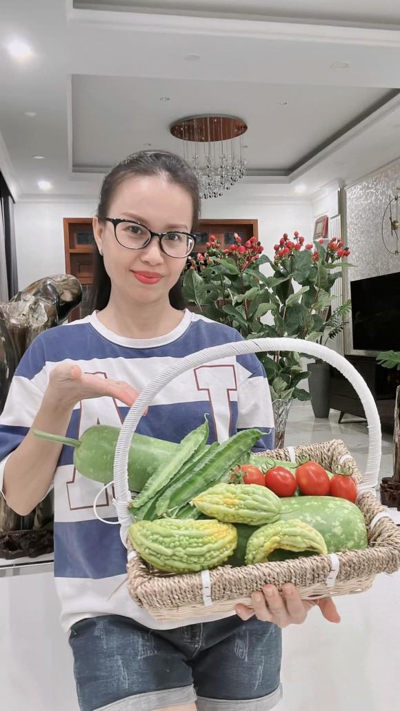 ca sĩ Cẩm Ly, sao Việt