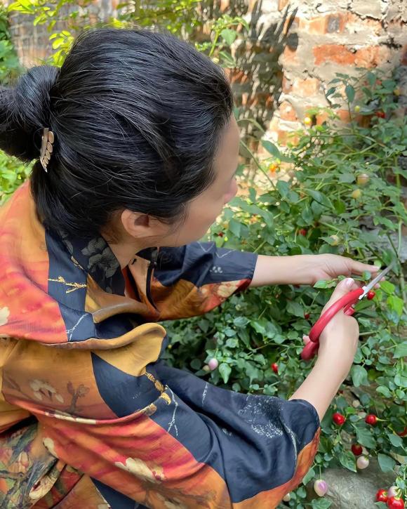 Thanh thanh hiền,biệt thự nhà thanh thanh hiền,sao việt