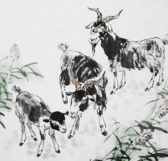 tử vi, con giáp