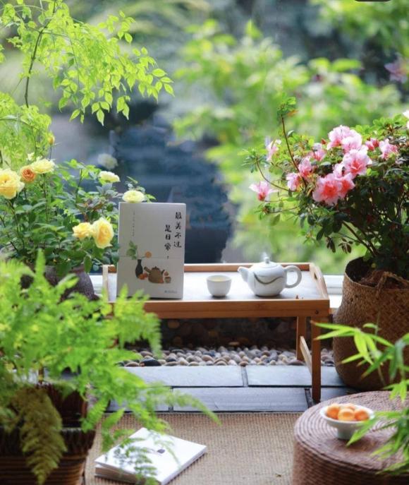 những loại hoa nên trồng trong nhà, hoa có hại cho sức khỏe, loại hoa ảnh hưởng tới tài lộc