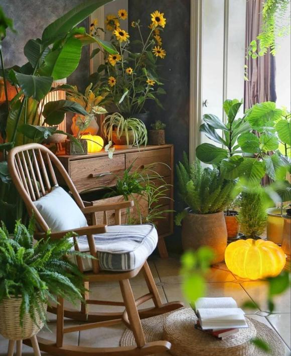 những loại hoa nên trồng trong nhà, hoa có hại cho sức khỏe, loại hoa ảnh hưởng tới tài lộc