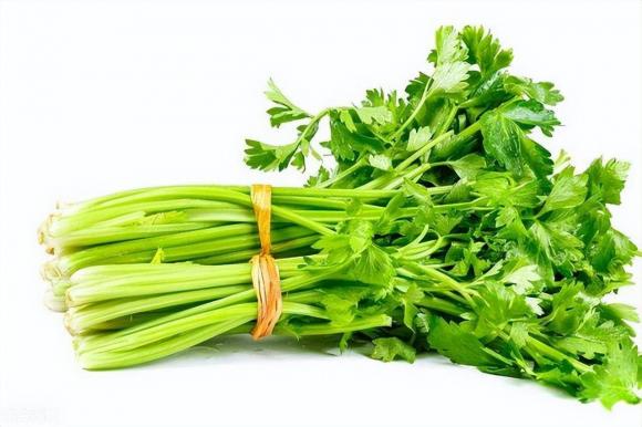lá cần tây, cần tây