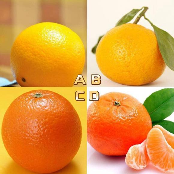 Trắc nghiệm tâm lý, bài test