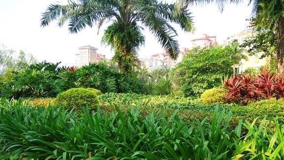 ngày sinh tốt, tử vi, ngày sinh
