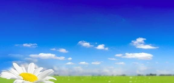 ngày sinh tốt, tử vi, ngày sinh