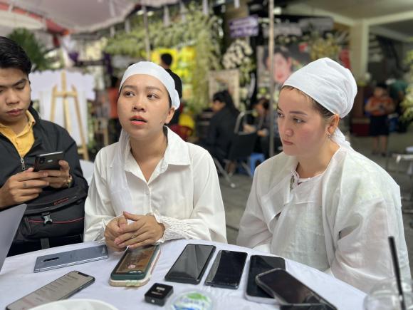 NSƯT Vũ Linh, sao Việt