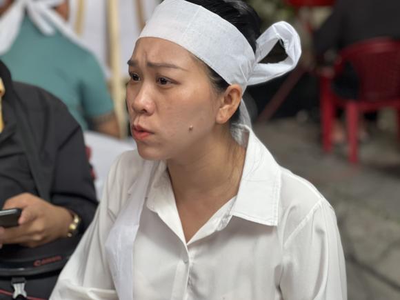 NSƯT Vũ Linh, sao Việt