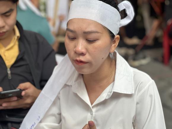 NSƯT Vũ Linh, sao Việt