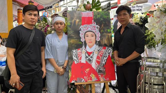 Vũ Linh, Sao Việt, NSƯT Vũ Linh