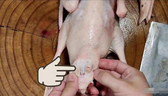 vịt, thịt vịt, bộ phận bẩn của con vịt