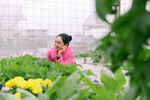 vườn rau trên sân thượng, trồng rau trên sân thượng, rau sạch
