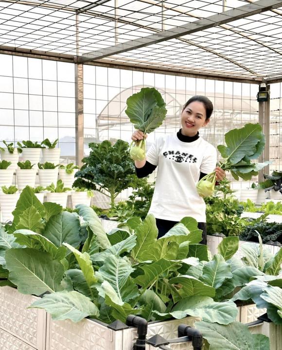 vườn rau trên sân thượng, trồng rau trên sân thượng, rau sạch