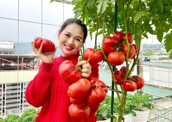 vườn rau trên sân thượng, trồng rau trên sân thượng, rau sạch
