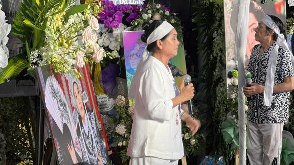 NSƯT Vũ Linh, sao Việt