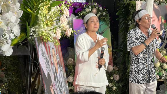 NSƯT Vũ Linh, sao Việt