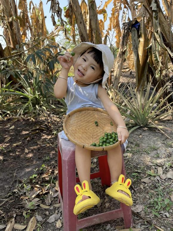 thiên an, jack, sao việt 
