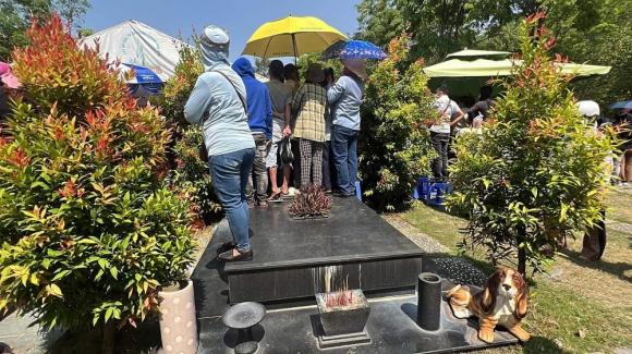 NSƯT Vũ Linh, sao Việt, Ông hoàng cải lương Hồ quảng