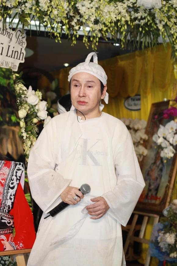 NSƯT Vũ Linh, sao Việt