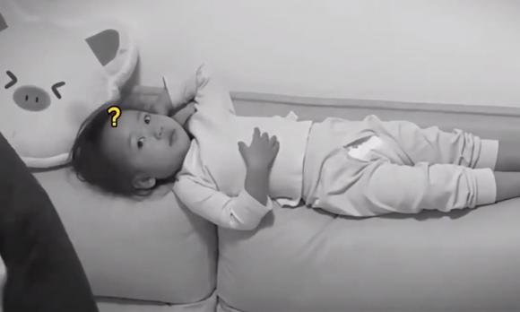 Rắn nâu phương đông, clip hot, clip giải trí