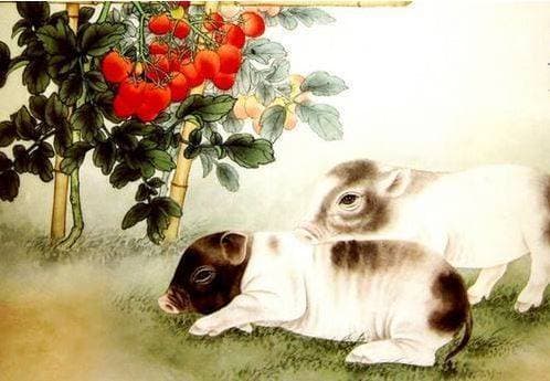 tử vi, con giáp