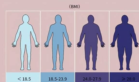 tuổi trung niên nên béo hay gầy, béo hay gầy, cân nặng phù hợp tuổi trung niên