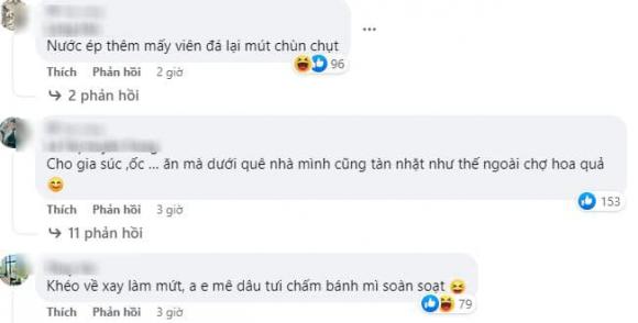 dâu tây, nhặt dâu tây, giới trẻ 
