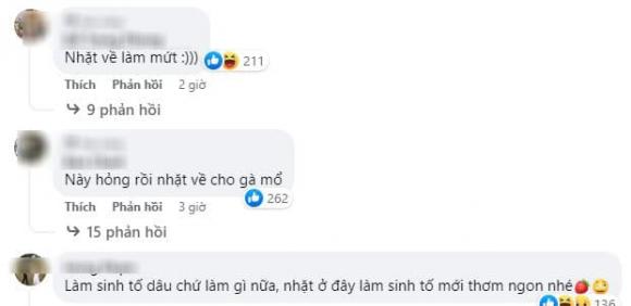 dâu tây, nhặt dâu tây, giới trẻ 