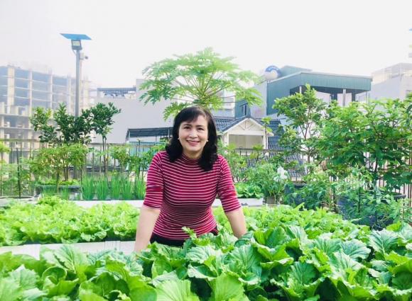 trồng rau, trồng rau trên sân thượng, chăm sóc rau