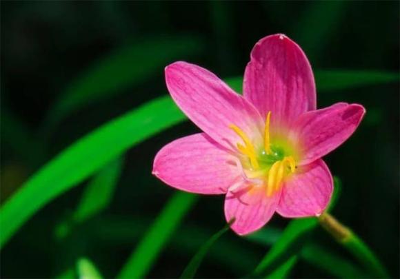 cuộc sống về già, anh chị em, người thân