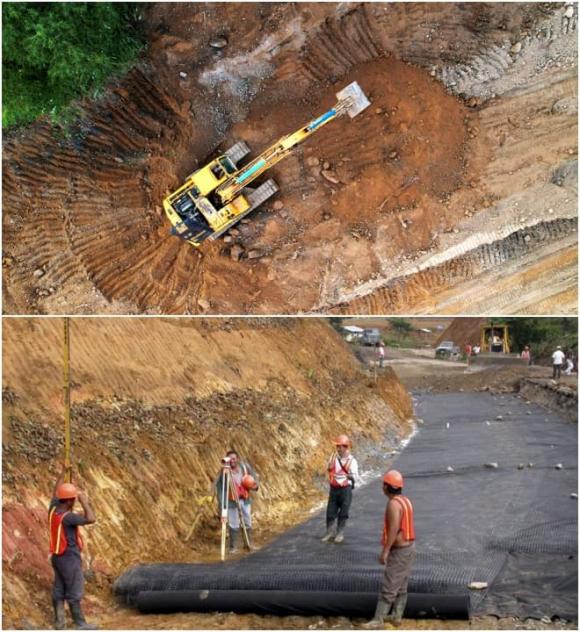 Trăn Anaconda khổng lồ, Trăn Anaconda nuốt hộp đựng làm mát, Trăm Anaconda bò qua đường đang làm