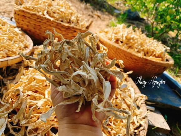 thịt vịt, cách nấu món thịt vịt ngon, món ngon 