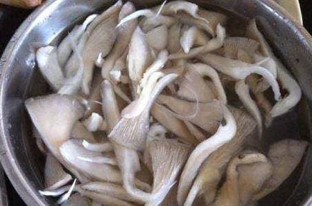 rửa thịt, không nên rửa thực phẩm bằng nước, thực phẩm không nên rửa với nước