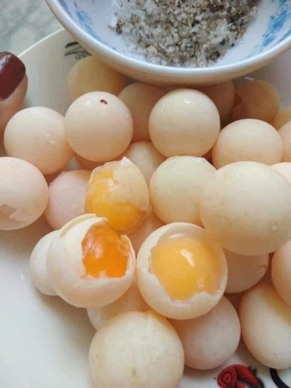 trứng ba ba, giá trứng ba ba, kiến thức 