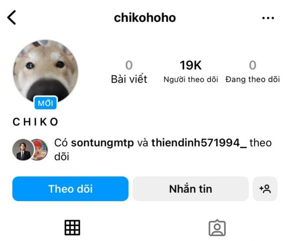 sơn tùng, sao việt