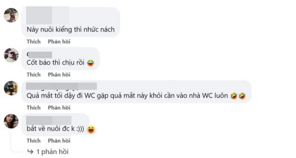 loài mèo hiếm, Felis Salamandra, mèo có hoa văn độc đáo
