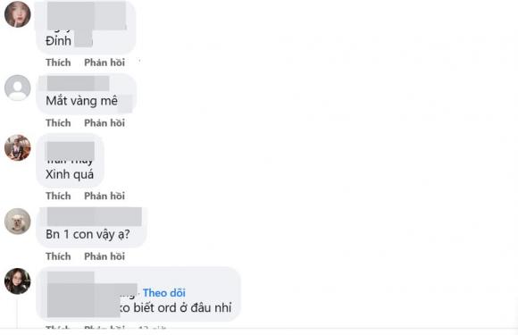 loài mèo hiếm, Felis Salamandra, mèo có hoa văn độc đáo