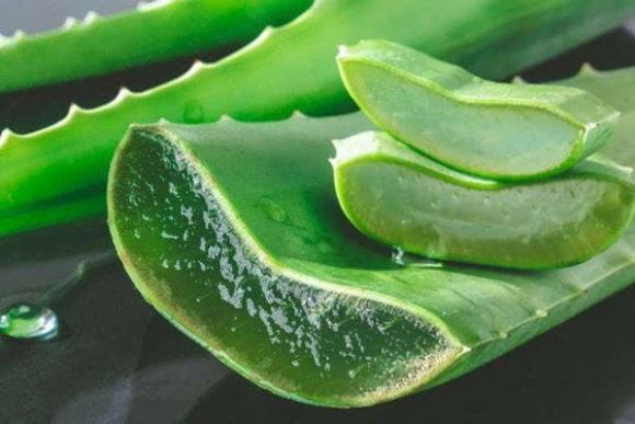 rụng tóc, điều trị rụng tóc, cách chữa rụng tóc