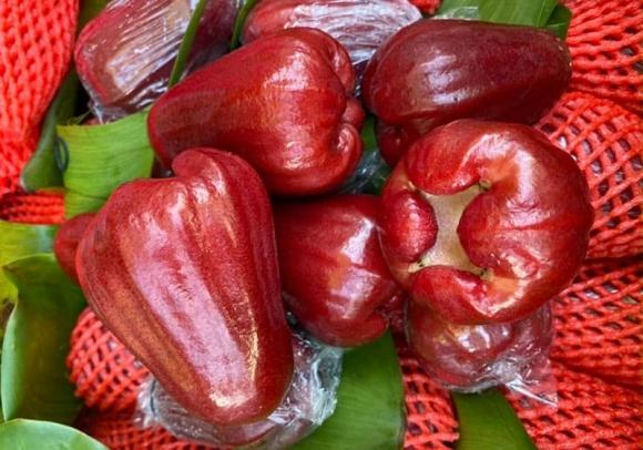 quả roi, quả mận điều đỏ, loại quả hiếm