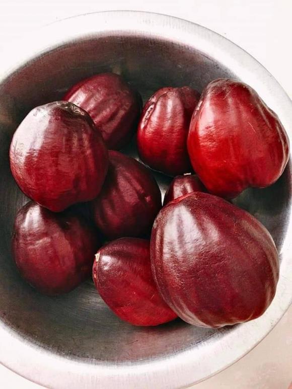 quả roi, quả mận điều đỏ, loại quả hiếm